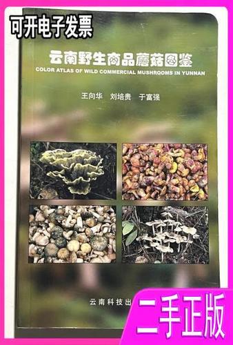 云南野生商品蘑菇图鉴 王向华